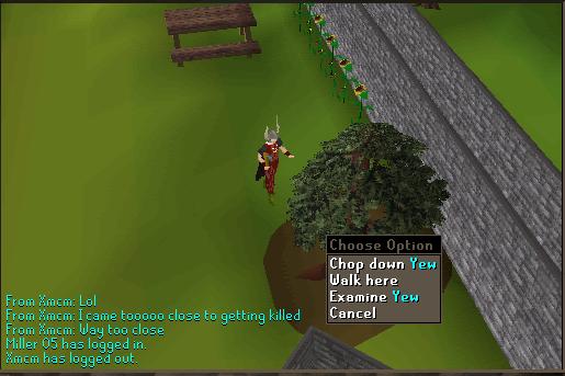 cuttinyews.jpg
